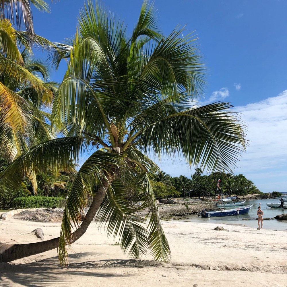 Meet your Posher, Jane